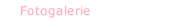 Fotogalerie